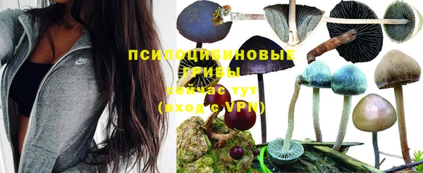 мяу мяу мука Богданович