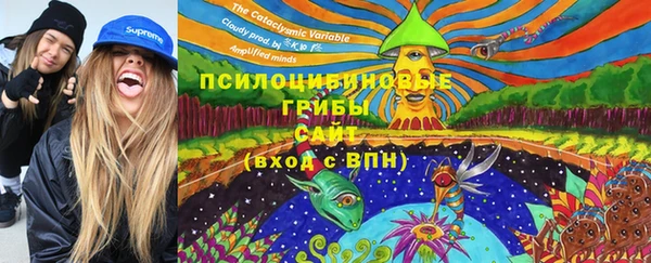 мяу мяу мука Богданович